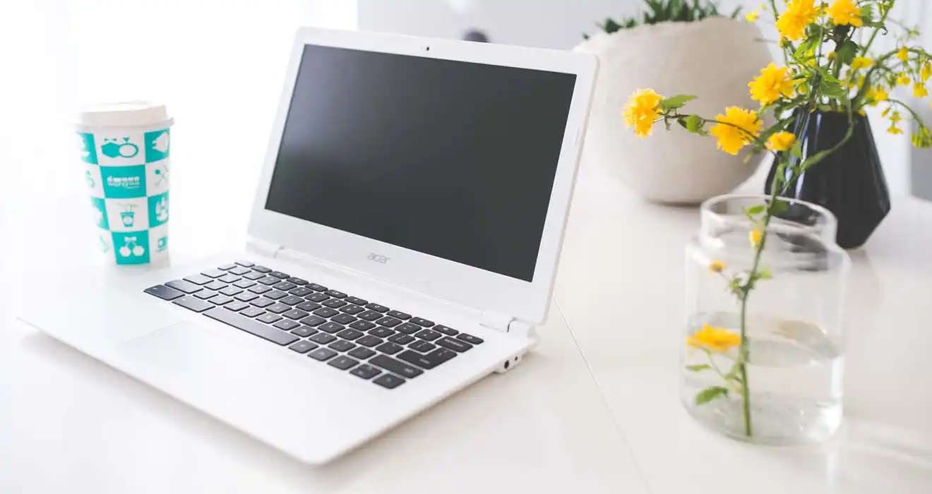 Ремонт ноутбуков Acer в Сестрорецке