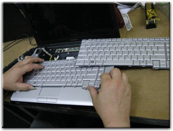 Ремонт клавиатуры ноутбука в Сестрорецке