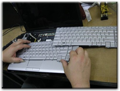 Ремонт клавиатуры на ноутбуке Toshiba в Сестрорецке