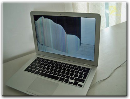 Замена матрицы Apple MacBook в Сестрорецке